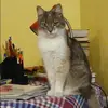 Отзыв от Василиса Лукьянова